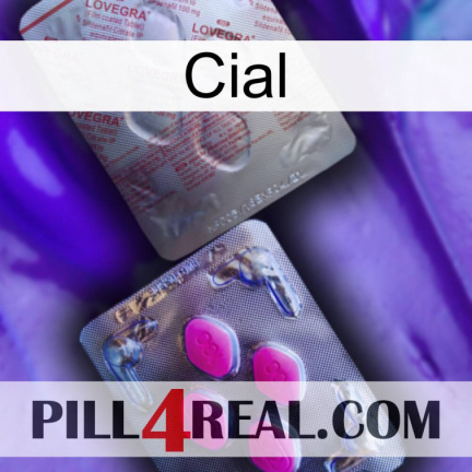 Cial 38